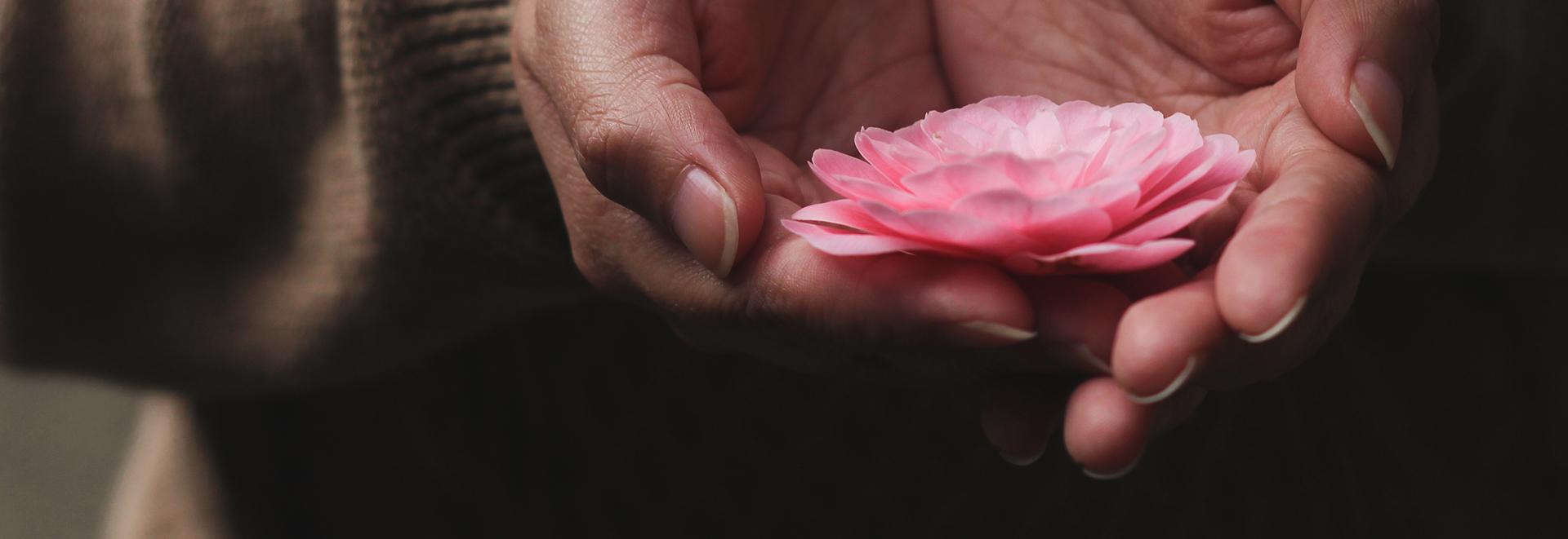 How to Reset the Fight or Flight Stress Response